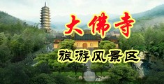 好想男人鸡巴插逼视频中国浙江-新昌大佛寺旅游风景区